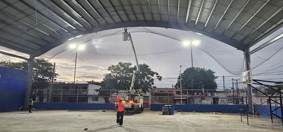 Instalación de una red antipalomas en un domo deportivo