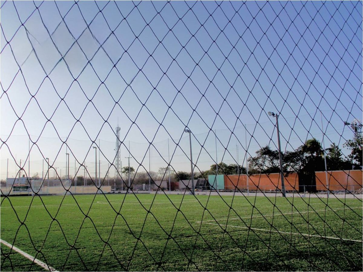 Red perimetral negra alrededor de una cancha de fútbol de pasto sintético